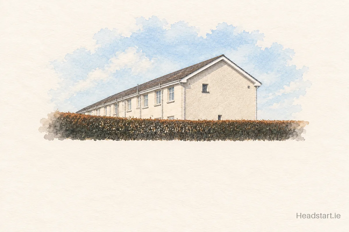 Watercolour illustration of the Scoil Chaitríona building, Cappamore