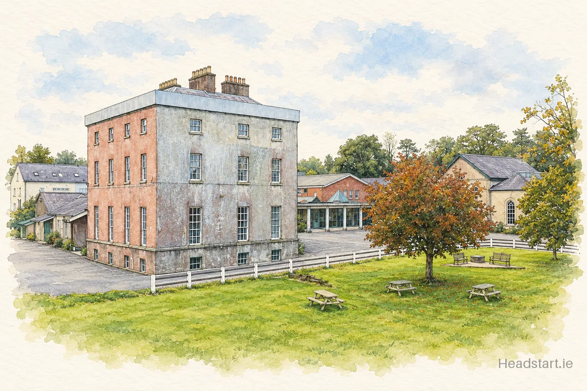 Watercolour illustration of the Newtown School building, Waterford