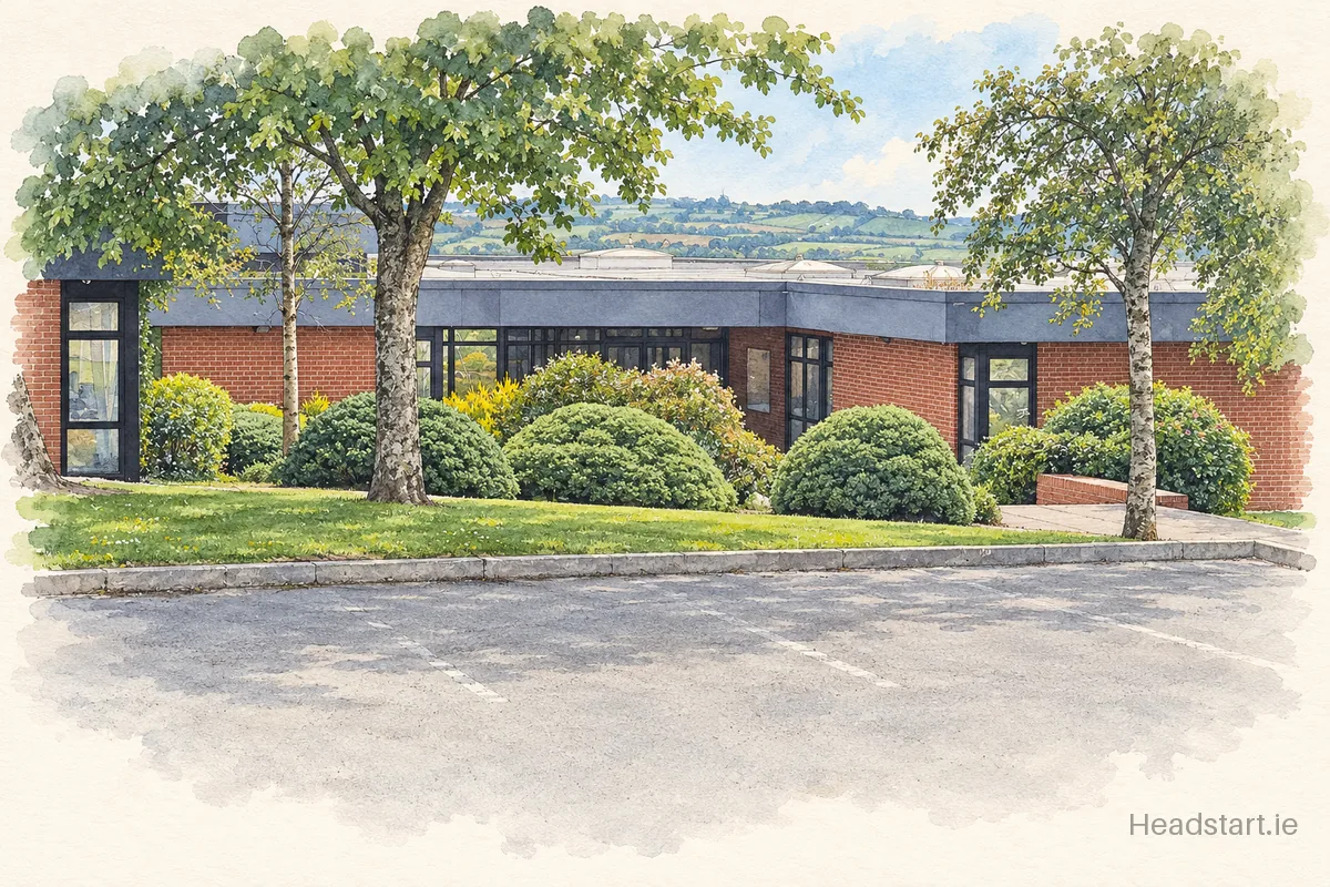 Watercolour illustration of the Terence Mac Swiney Community College building, Cork (northside)